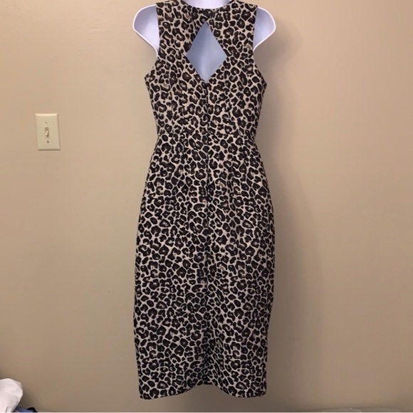 Anthropologie Leopard Print Dress - Black and Cream - Picture 8 of 10